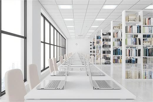 Beyond Buffering: Your University's Roadmap to a 100G-Ready Network