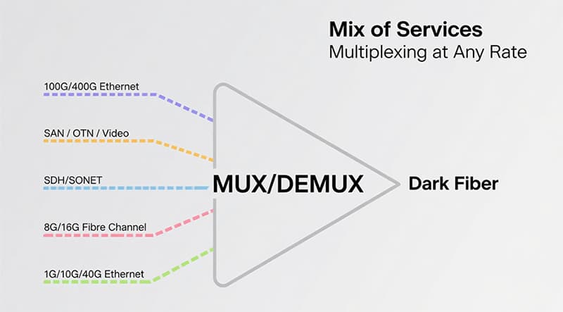 DWDM MUX.jpg